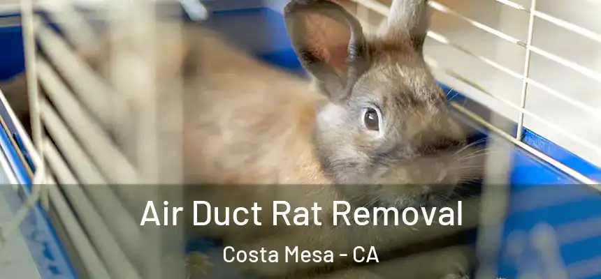  Air Duct Rat Removal Costa Mesa - CA