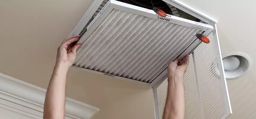 Preventive Cockroach-Proofing for Ducts in Costa Mesa