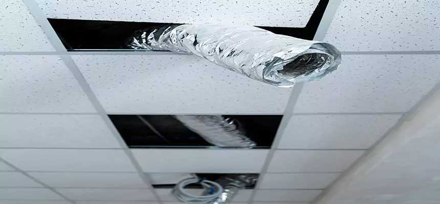 Affordable HVAC Sanitizing After Pest Removal in Costa Mesa