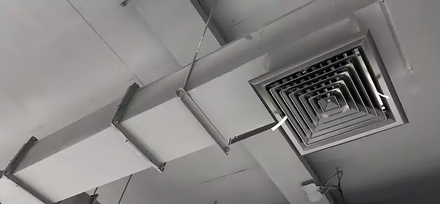 Our Rodent Droppings In Vents Services in Costa Mesa, CA