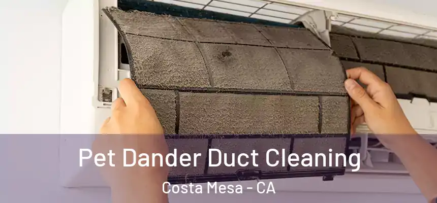  Pet Dander Duct Cleaning Costa Mesa - CA