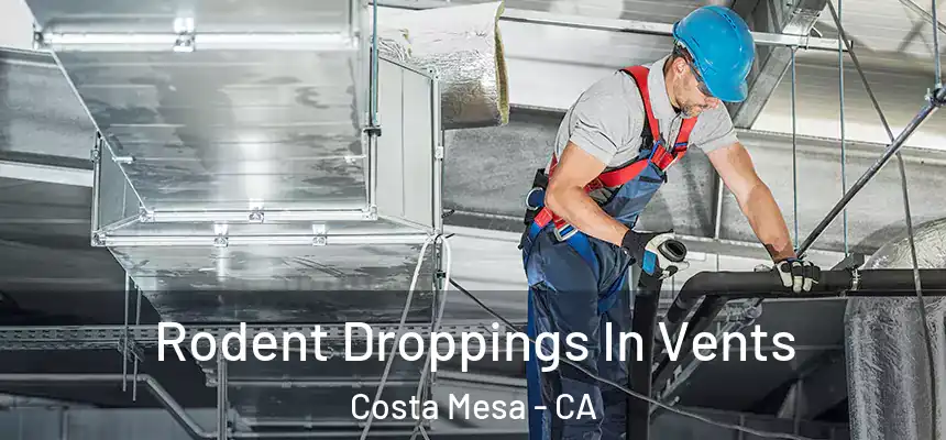  Rodent Droppings In Vents Costa Mesa - CA