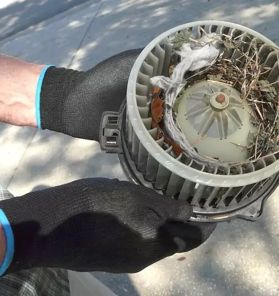 About Air Duct Mice Removal in Costa Mesa, CA