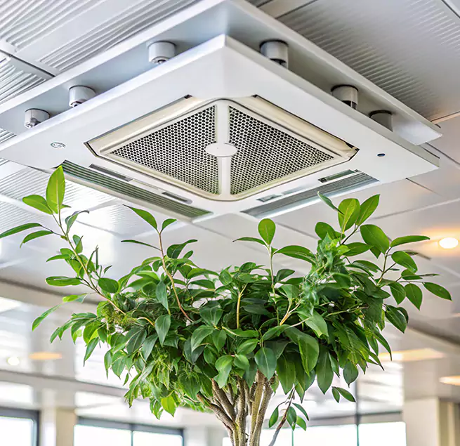 Why Homeowners & Businesses Trust Us in Costa Mesa, CA