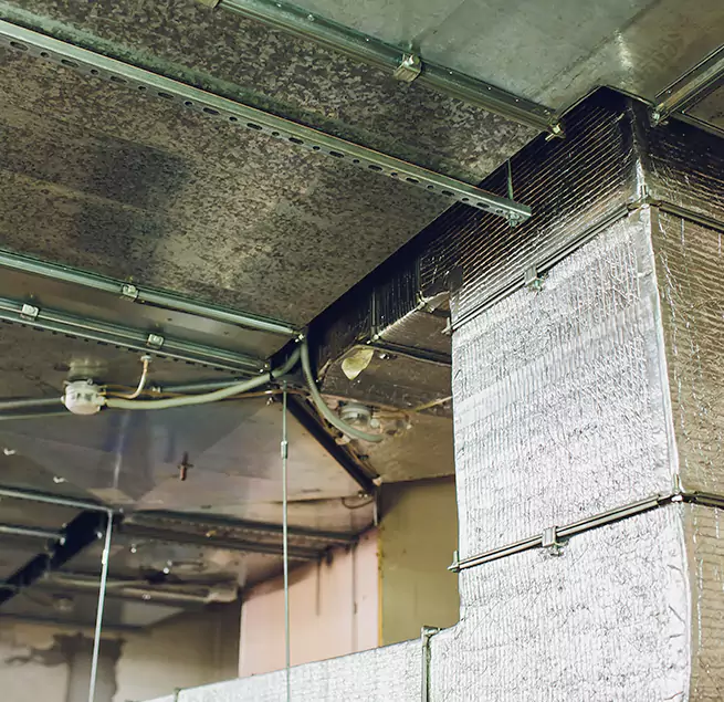 Why Homeowners & Businesses Trust Us in Costa Mesa, CA?